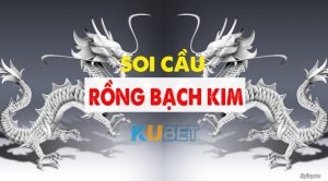 Cách soi cầu rồng bạch kim nhà cái Ku19.