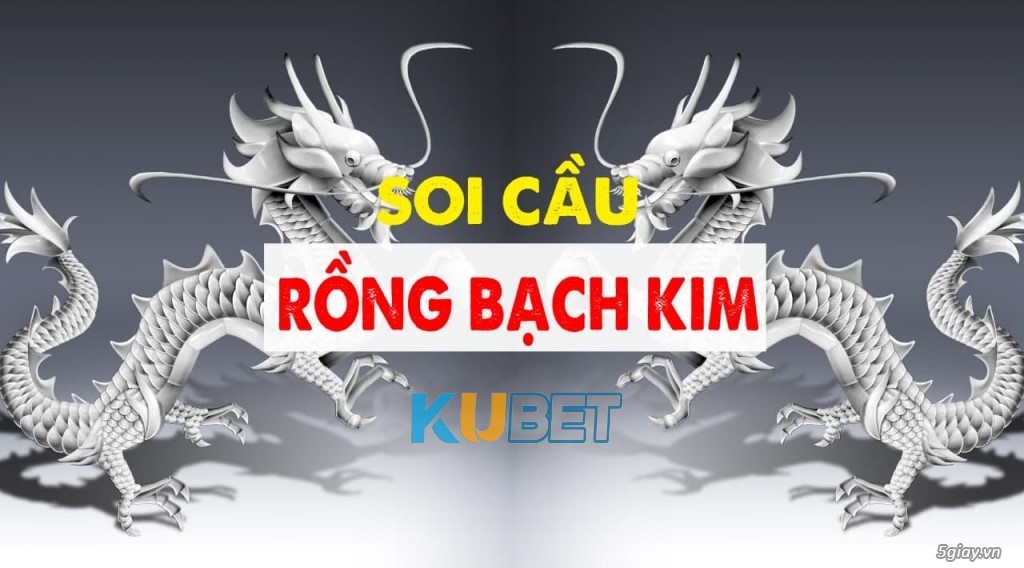 Cách soi cầu rồng bạch kim nhà cái Ku19.