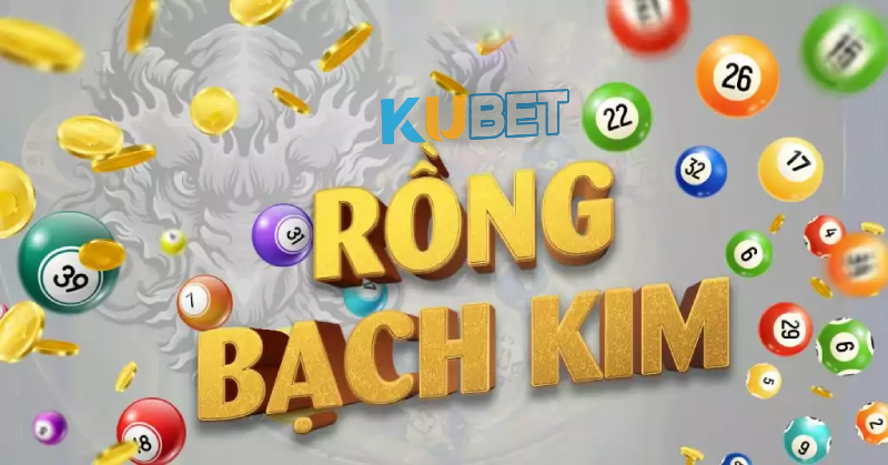 Lưu ý khi Soi Cầu Rồng Bạch Kim